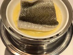-福1015(愚园路店)
