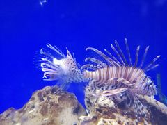 -常州海昌海洋探索馆