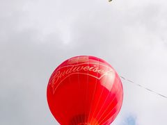-西双版纳原始森林公园