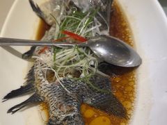 -骏莱海鲜鱼港(五角场店)