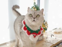 -Oasis绿洲银饰珍珠手作diy(壹方城店)