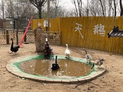 -1982农场