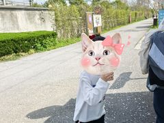 -菊园百果园
