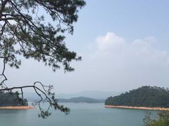 -广州市流溪河国家森林公园