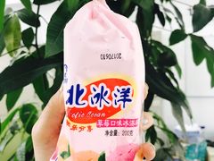 北冰洋袋淋-百年义利(北兴路店)