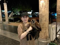 -清迈夜间动物园