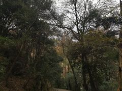 -岳麓山风景名胜区