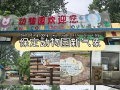 -保定市动物园