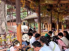 -海南槟榔谷黎苗文化旅游区