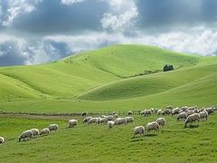 -中国茶叶博物馆(双峰馆区)