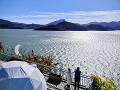 -望湖烤鱼