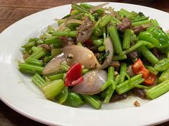 香芹牛肉-老字号大盘鸡·丸子汤·抓饭