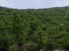 -金钉子远古世界景区