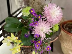 -二酉书店TOYOU BOOKS