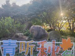 -青枫公园