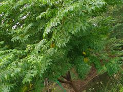 -南山风景名胜区