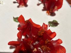 -柿合缘新京菜(国金中心商场店)