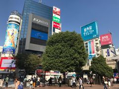 -涩谷全向十字路口