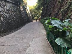 -乌山风景区