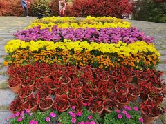 -华南国家植物园-售票处