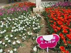 -石家庄市植物园