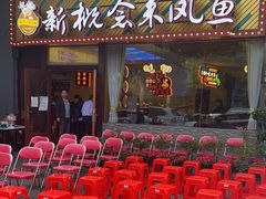 -新概念来凤鱼(璧山店)