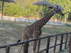 -北京野生动物园