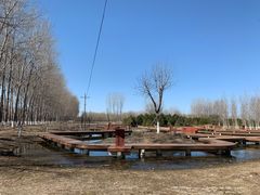-东郊湿地公园