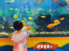 -中国宋庆龄青少年科技文化交流中心