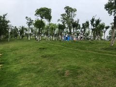 -瑶湖郊野森林公园