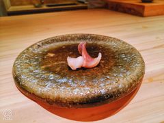 火炙活北极贝-鮨心和(外滩店)