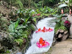 -飞来湖湿地公园