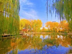 -玲珑塔公园