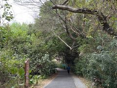 -华侨城湿地公园
