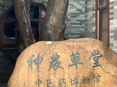 -广州神农草堂中医药博物馆