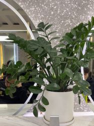 -苏奇发型·烫发染发