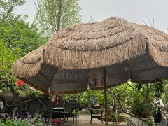-桃源山庄·水蜜桃采摘·柴火鸡·烧烤团建(龙泉山店)