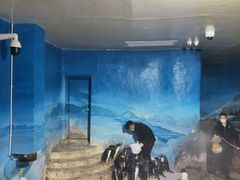 -成都浩海立方海洋公园