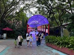-广州长隆国际大马戏