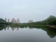-前关湿地公园