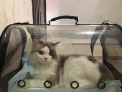 -联合动物医院(光谷诊疗中心)