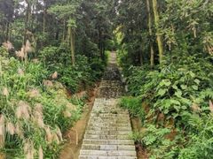 -天花井景区
