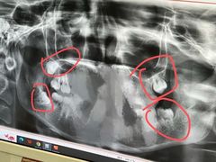 -维乐口腔(格林门诊长宁店)