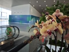 -广州白云国际机场-T2航站楼