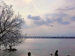 -宝安西湾红树林湿地公园