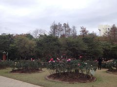 -人民公园(罗湖区)