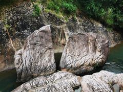 -广州白江湖森林公园