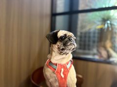 -老李家土菜馆·安吉地标美食