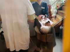 -联合动物医院(光谷诊疗中心)