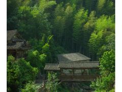 -刘伯温故里景区百丈漈